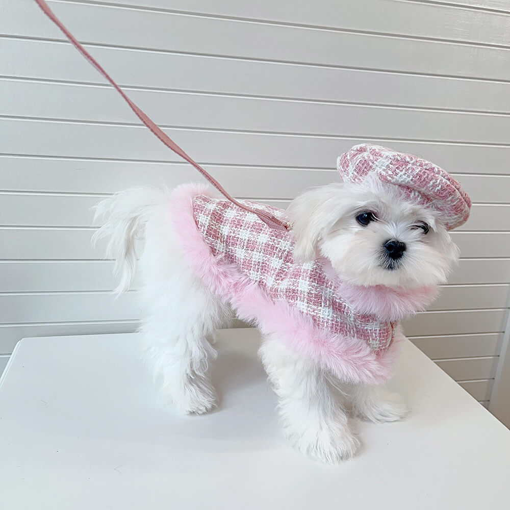 Ensemble d'accessoires de laisse de cape de béret de chien et de chat de style princesse