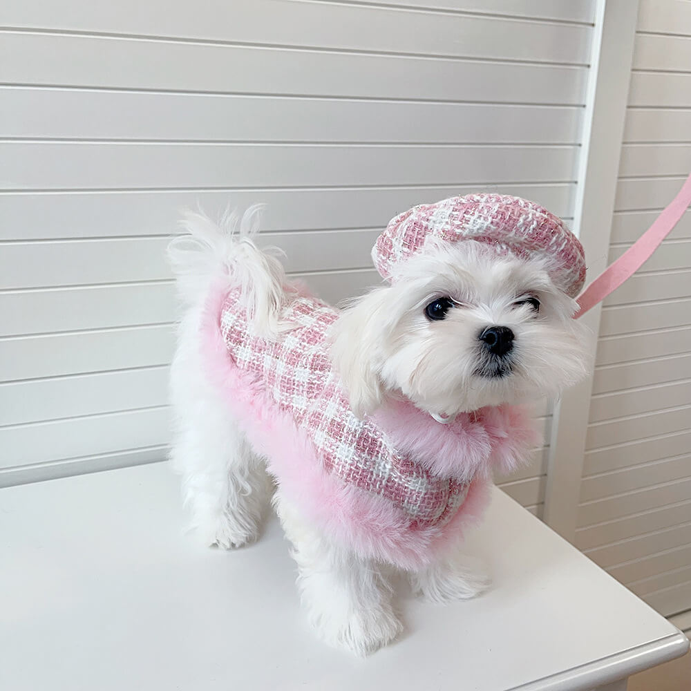 Ensemble d'accessoires de laisse de cape de béret de chien et de chat de style princesse