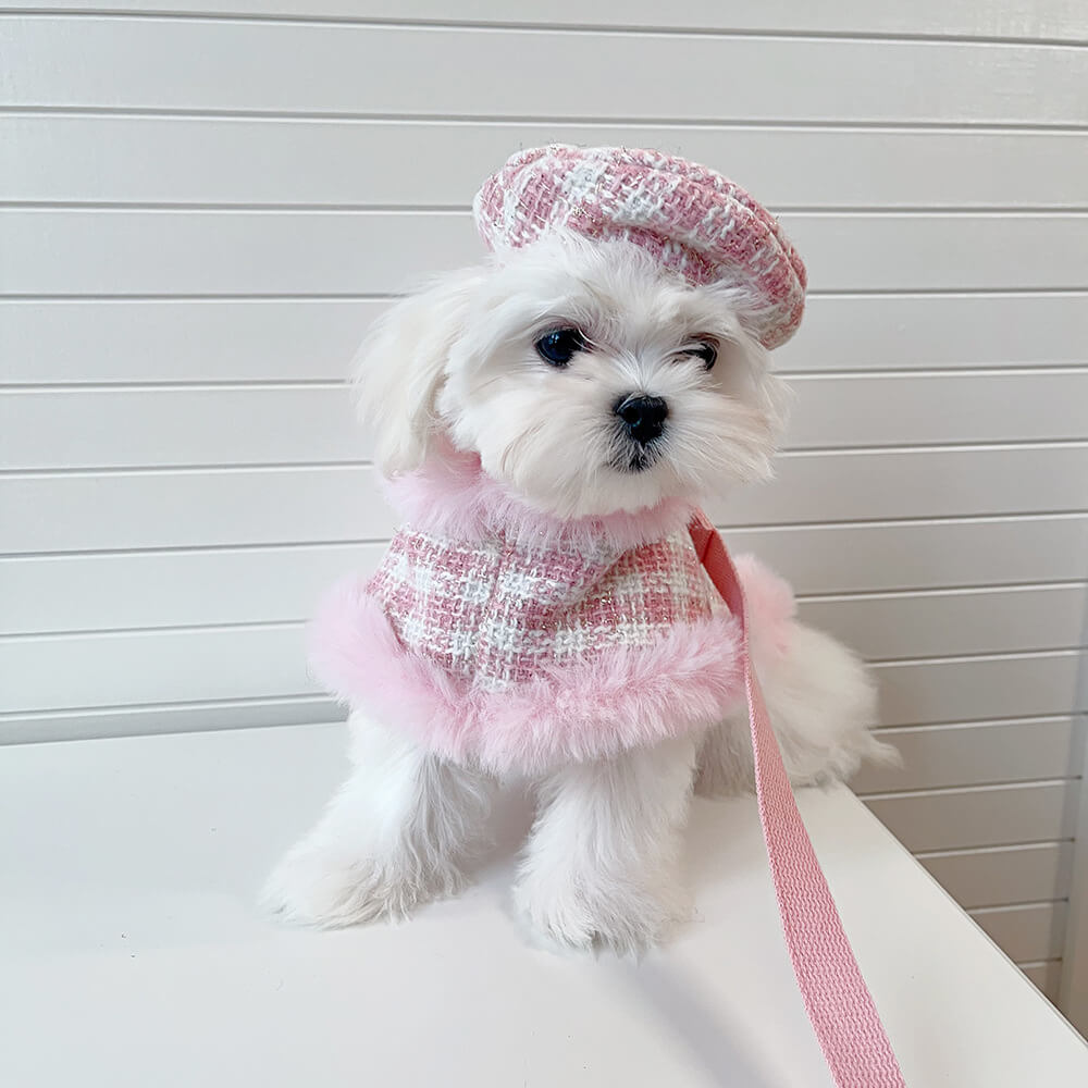 Ensemble d'accessoires de laisse de cape de béret de chien et de chat de style princesse