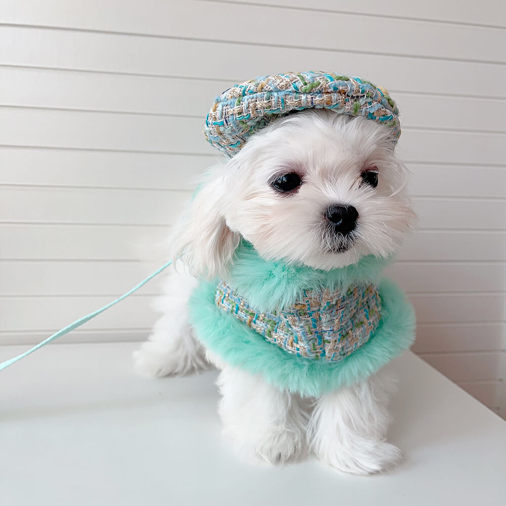 Ensemble d'accessoires de laisse de cape de béret de chien et de chat de style princesse