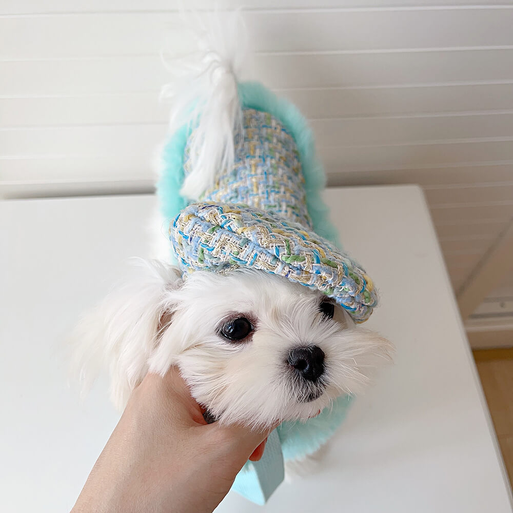 Ensemble d'accessoires de laisse de cape de béret de chien et de chat de style princesse