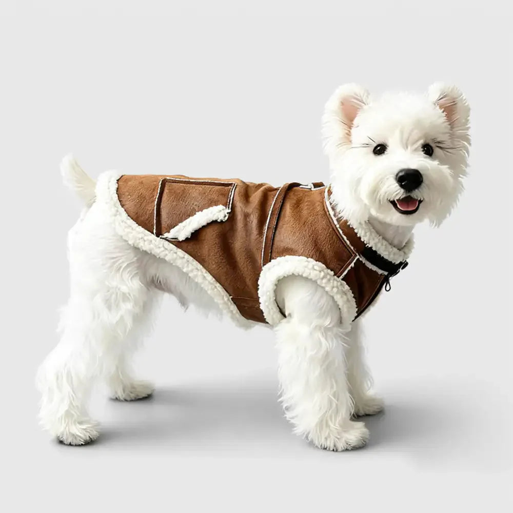 Retro Suede Dog Vest For Small Dogs