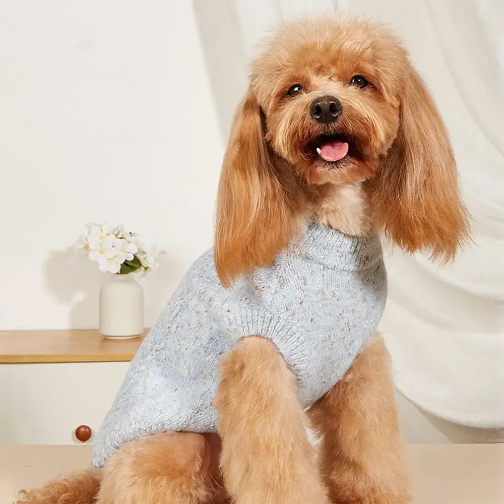 Soft Warm Thick-Knitted Dog Sweater – Designed For Dachshunds, French Bulldogs & Pugs