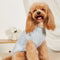 Soft Warm Thick-Knitted Dog Sweater – Designed For Dachshunds, French Bulldogs & Pugs