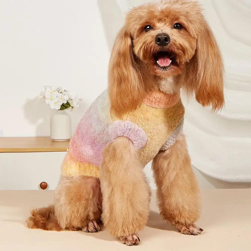 Soft Warm Thick-Knitted Dog Sweater – Designed For Dachshunds, French Bulldogs & Pugs