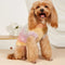 Soft Warm Thick-Knitted Dog Sweater – Designed For Dachshunds, French Bulldogs & Pugs