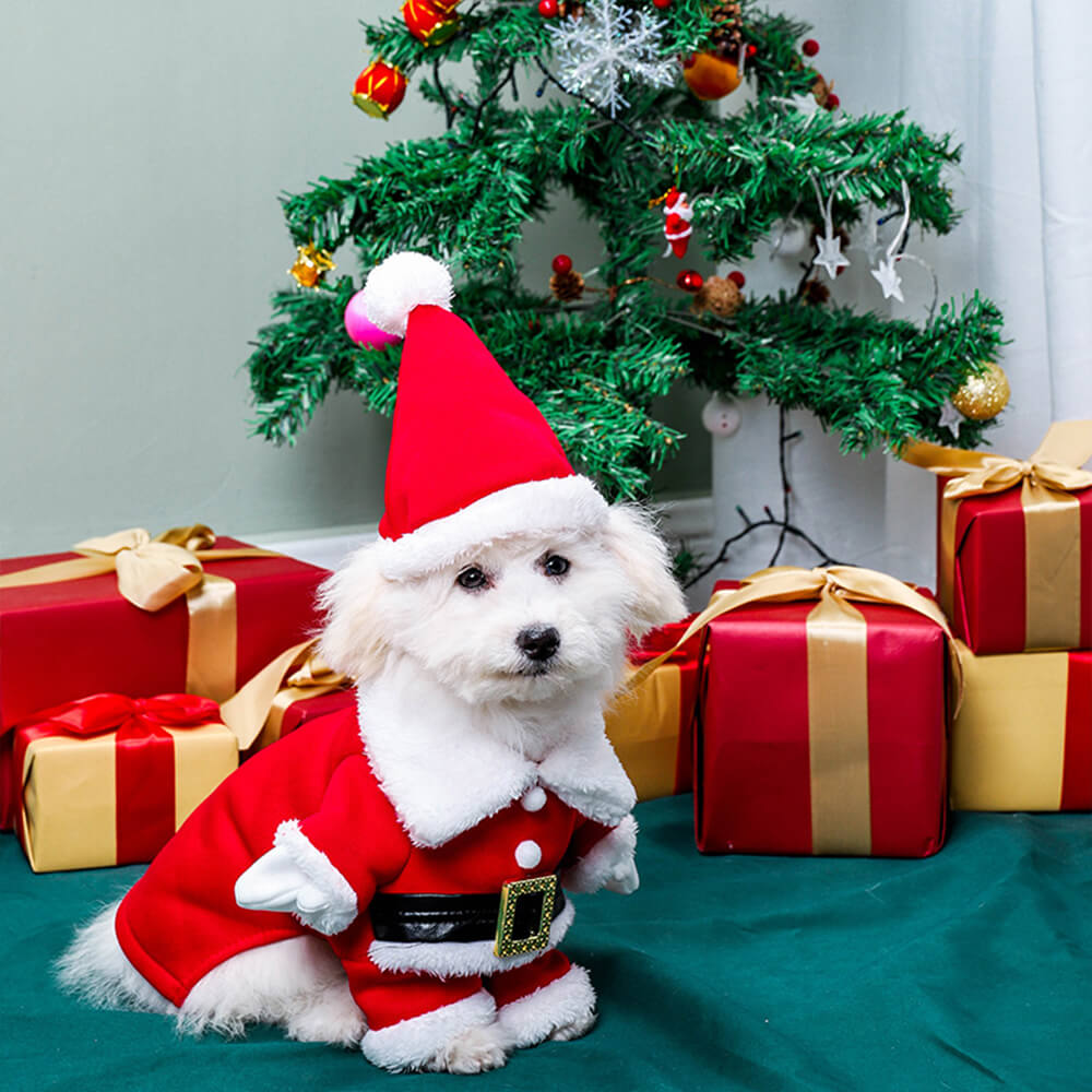 Tenue de père noël stéréoscopique, chapeau, Costume de chien Cosplay