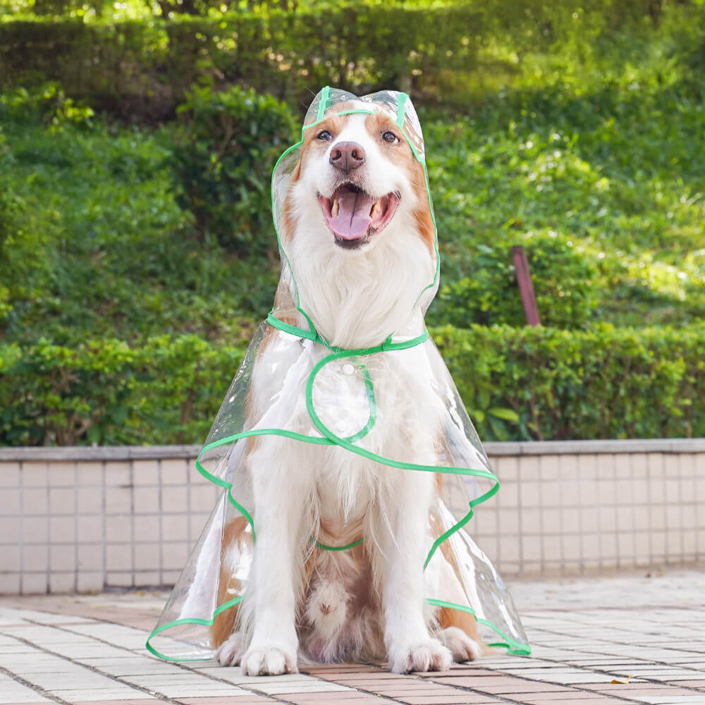 Imperméable à capuchon extérieur imperméable transparent d'EVA pour chien