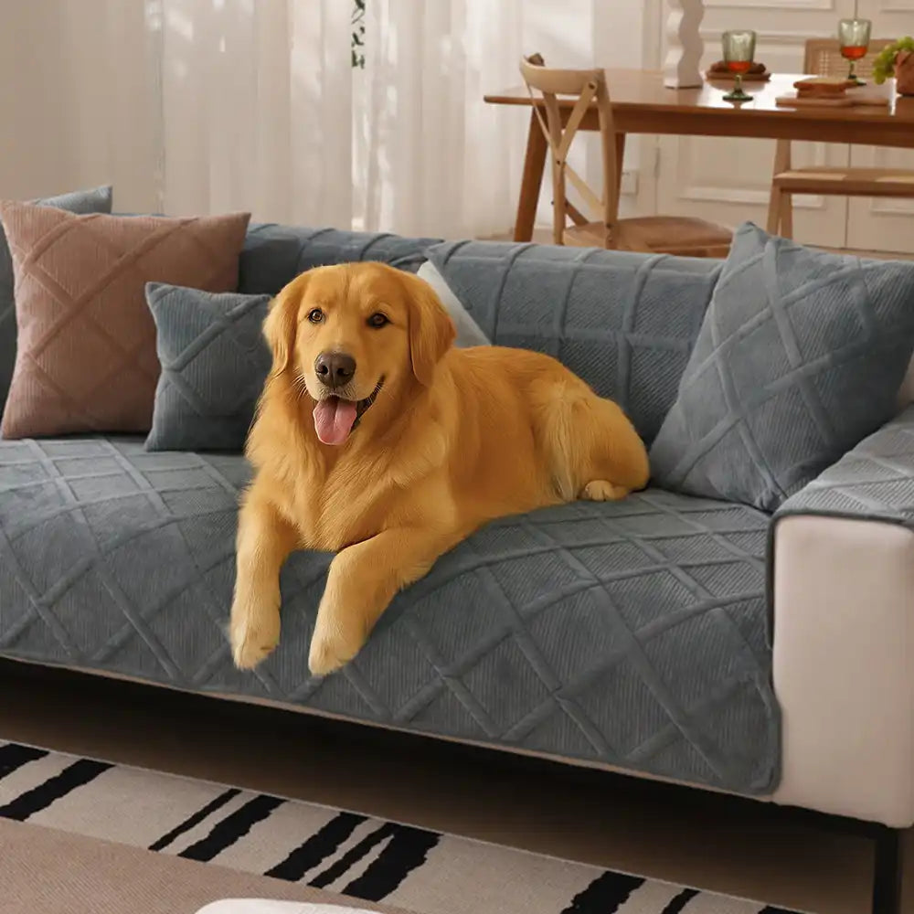 Velvety Soft Short Plush Modern Interiors Sofa Cover