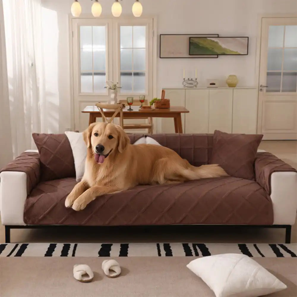 Velvety Soft Short Plush Modern Interiors Sofa Cover