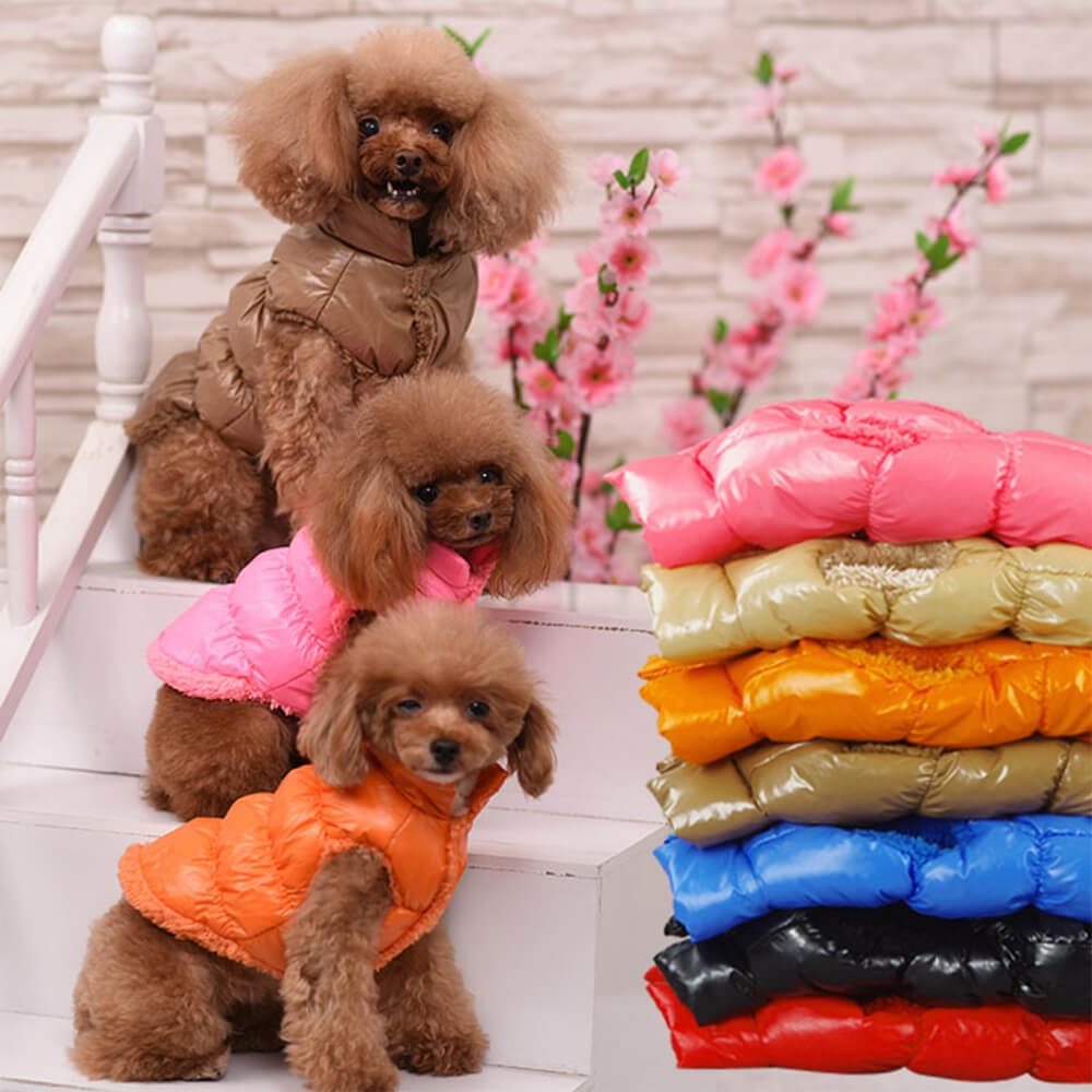 Warm Thick Windproof Waterproof Eco-Friendly Dog Vest