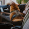 Waterproof Scratch-Resistant Foldable Portable Front Seat Dog Travel Mat