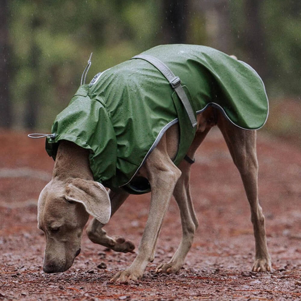 Waterproof Turtleneck Adjustable Reflective Jacket Outdoor Raincoat For Dog And Owner