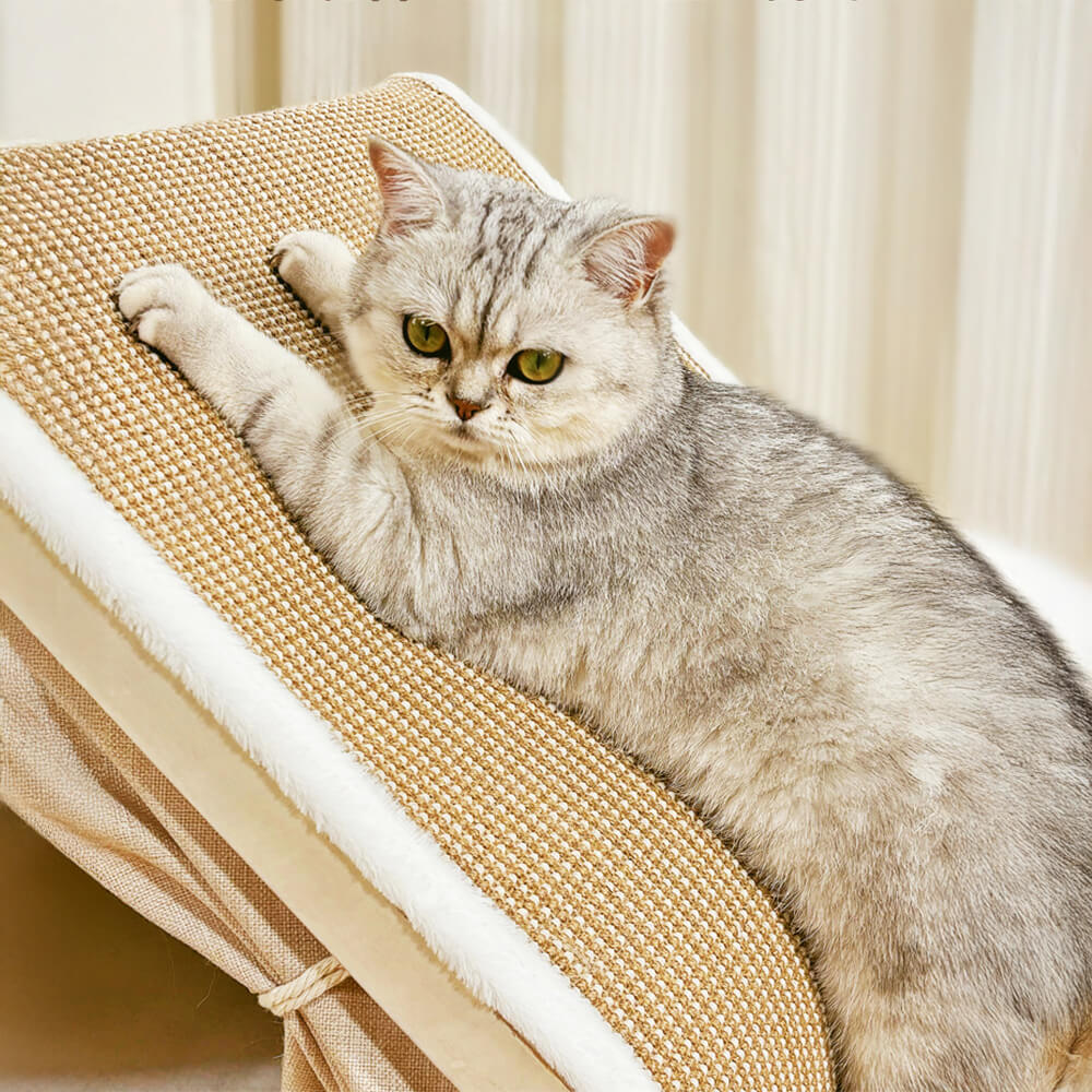All-in-One Cat Tent with Scratching Roof and Cozy Sleeping Area
