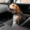 Car Seat Belt Buffer Adjustable Cool Dog Accessories - FUNNYFUZZY
