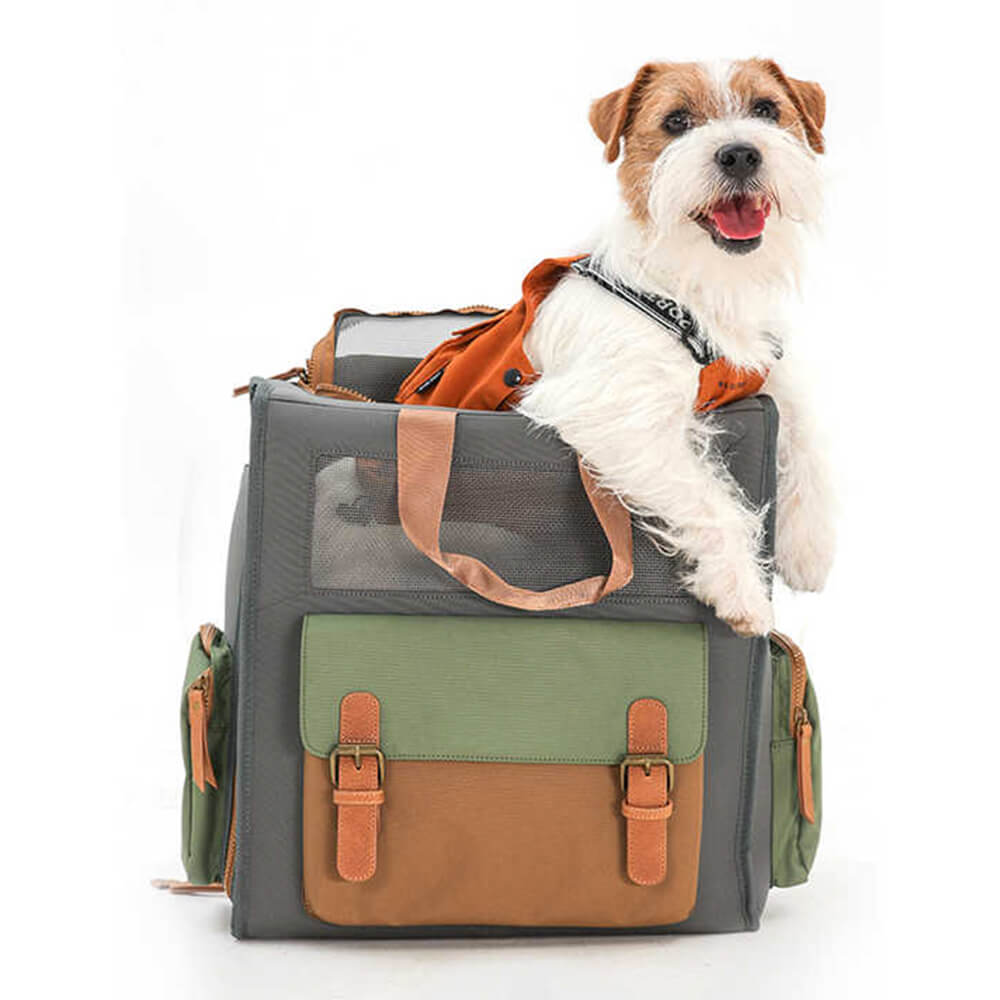 Sac à dos de transport extérieur pour animaux de compagnie en toile imperméable et respirante bicolore