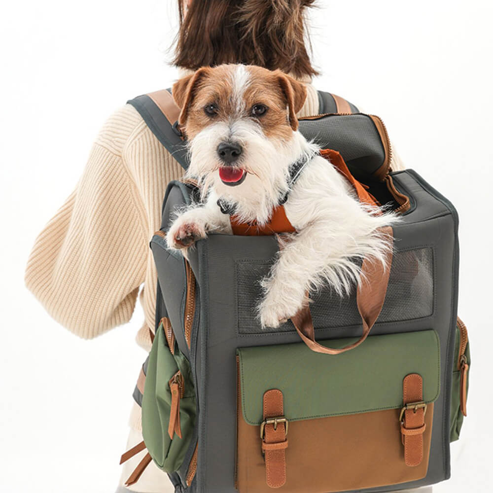 Sac à dos de transport extérieur pour animaux de compagnie en toile imperméable et respirante bicolore
