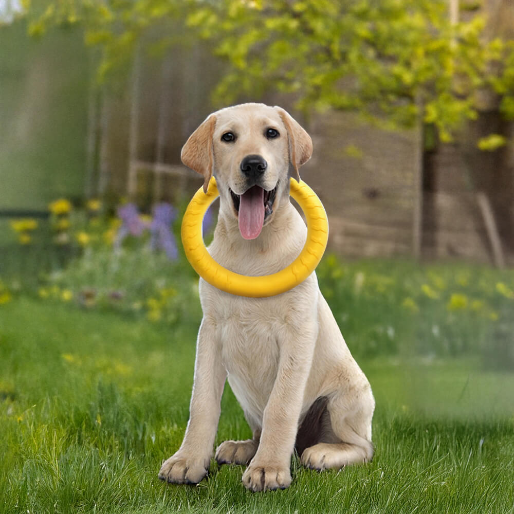 Durable EVA Floating Chew Ring Frisbee Dog Toy