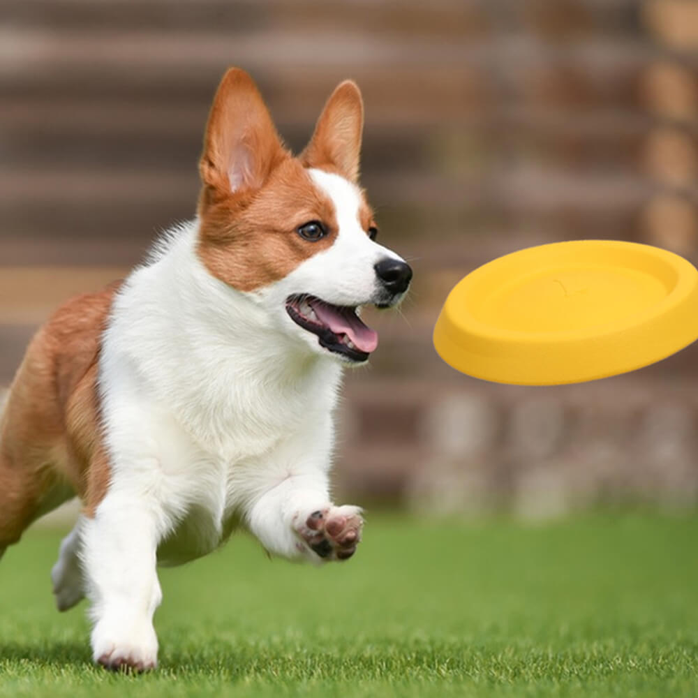 Durable EVA Floating Chew Ring Frisbee Dog Toy