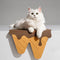 Ice Cream Themed Double Food and Water Dog & Cat Bowl