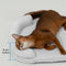Ice Dot Cooling Breathable Pet Mat with Pillow for Cats and Dogs