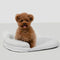 Ice Dot Cooling Breathable Pet Mat with Pillow for Cats and Dogs
