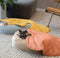 Leaf Shape Dog Blanket - FUNNYFUZZY