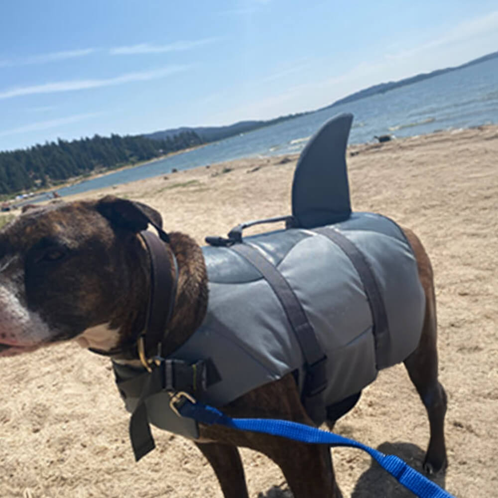 Mermaid and Shark Style Secure Fit Dog Life Jacket