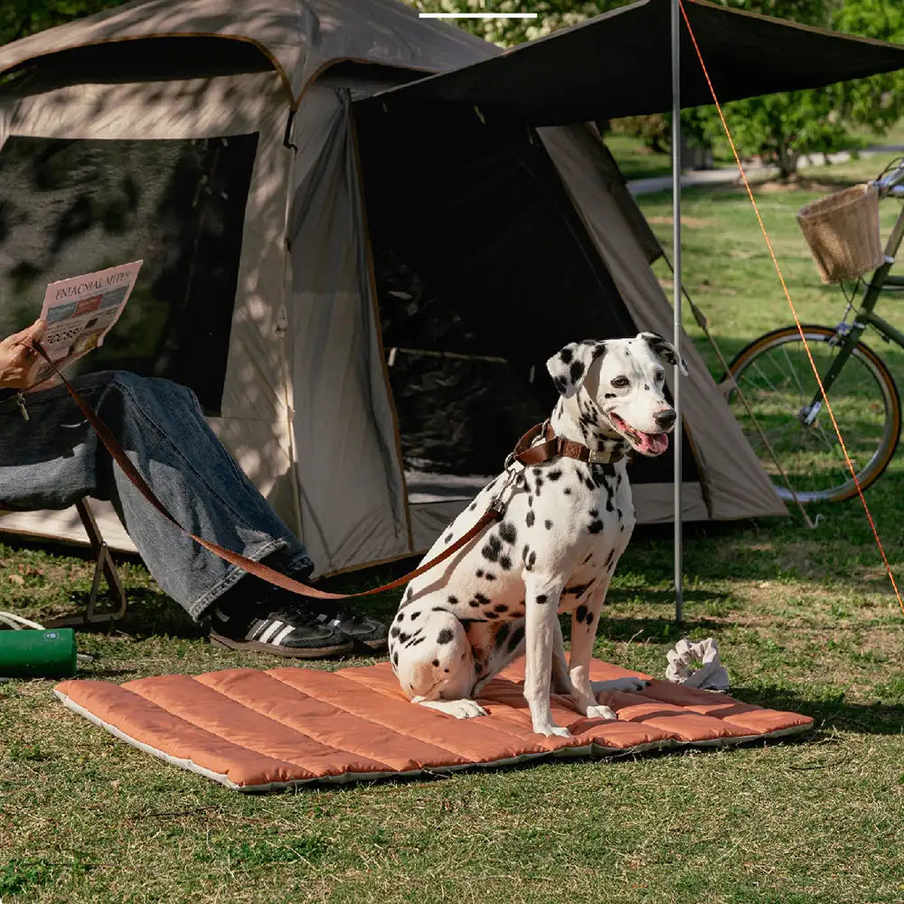 Portable Foldable Double-Sided Water-Repellent Dog Mat for Outdoor Travel & Camping