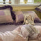 Romantic Colorblock Double Cotton Lace Bed Sheet Set