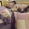 Romantic Colorblock Double Cotton Lace Bed Sheet Set