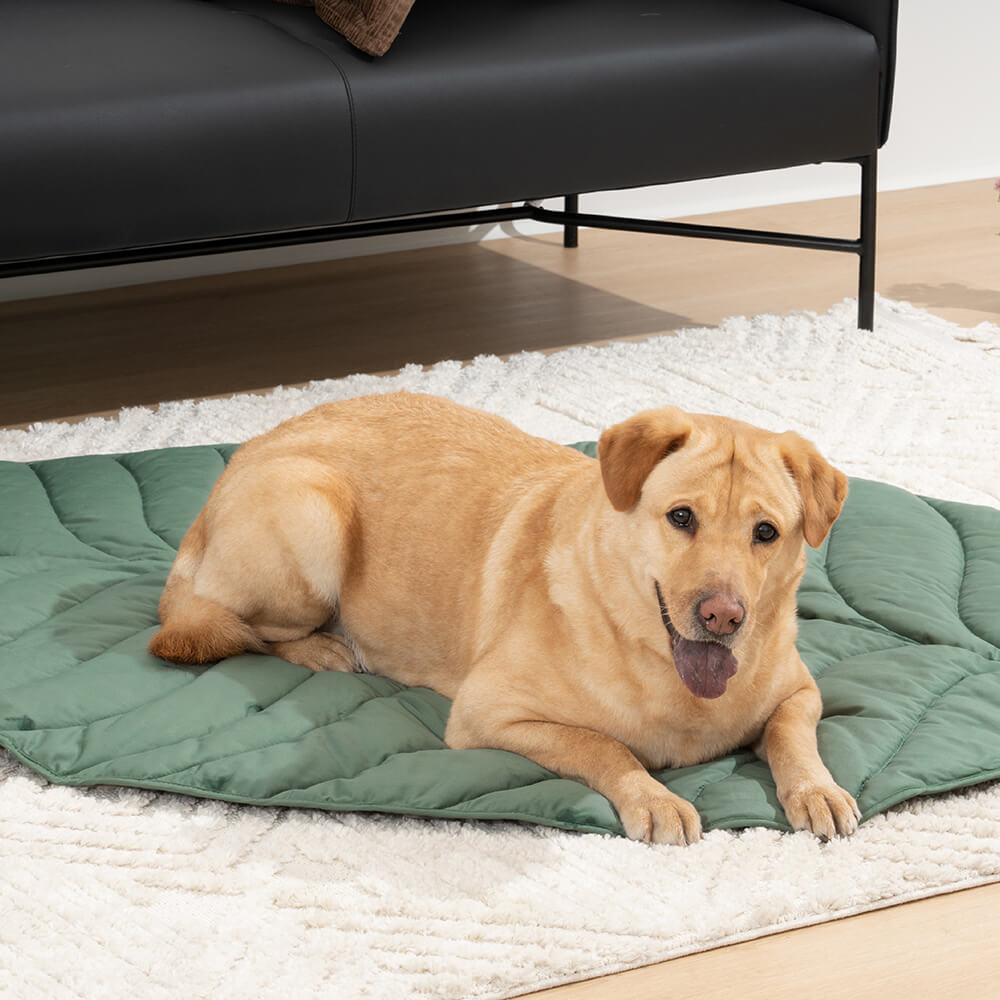 Super Large Leaf Shape Human Mat Dog Blanket - FUNNYFUZZY