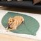 Couverture pour chien en forme de très grande feuille, tapis humain