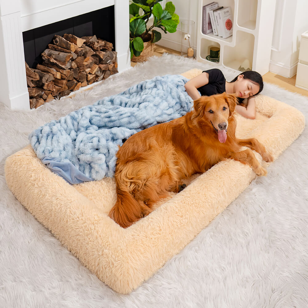 Dog bed in human bed best sale