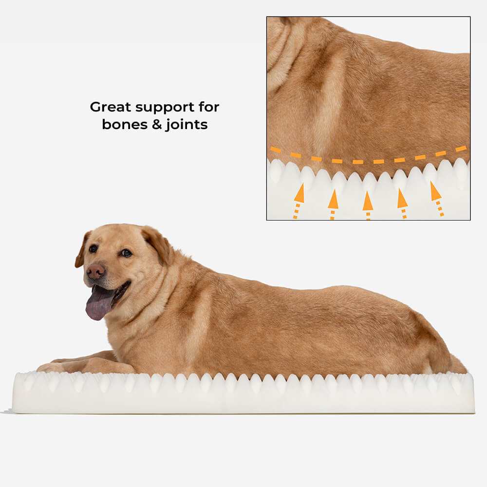 Lit orthopédique pour chien humain, lit en peluche confortable ultime, très grand sommeil plus profond