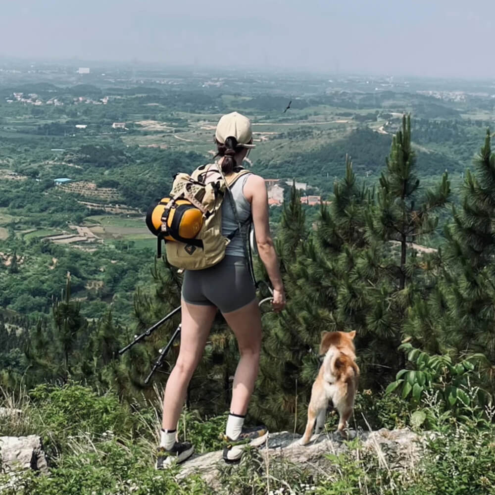 Ventilated and Durable Outdoor Hiking Dog Carrier Bag