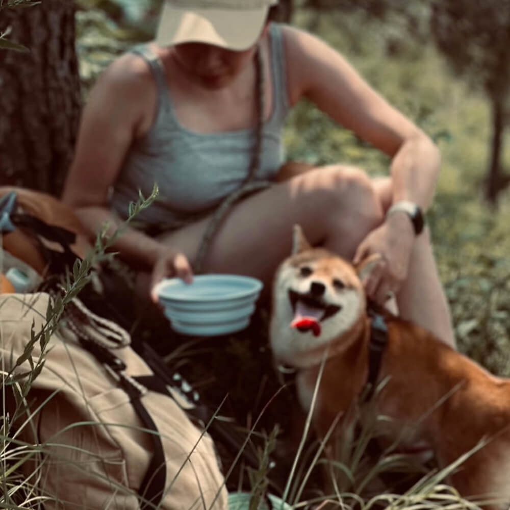 Ventilated and Durable Outdoor Hiking Dog Carrier Bag