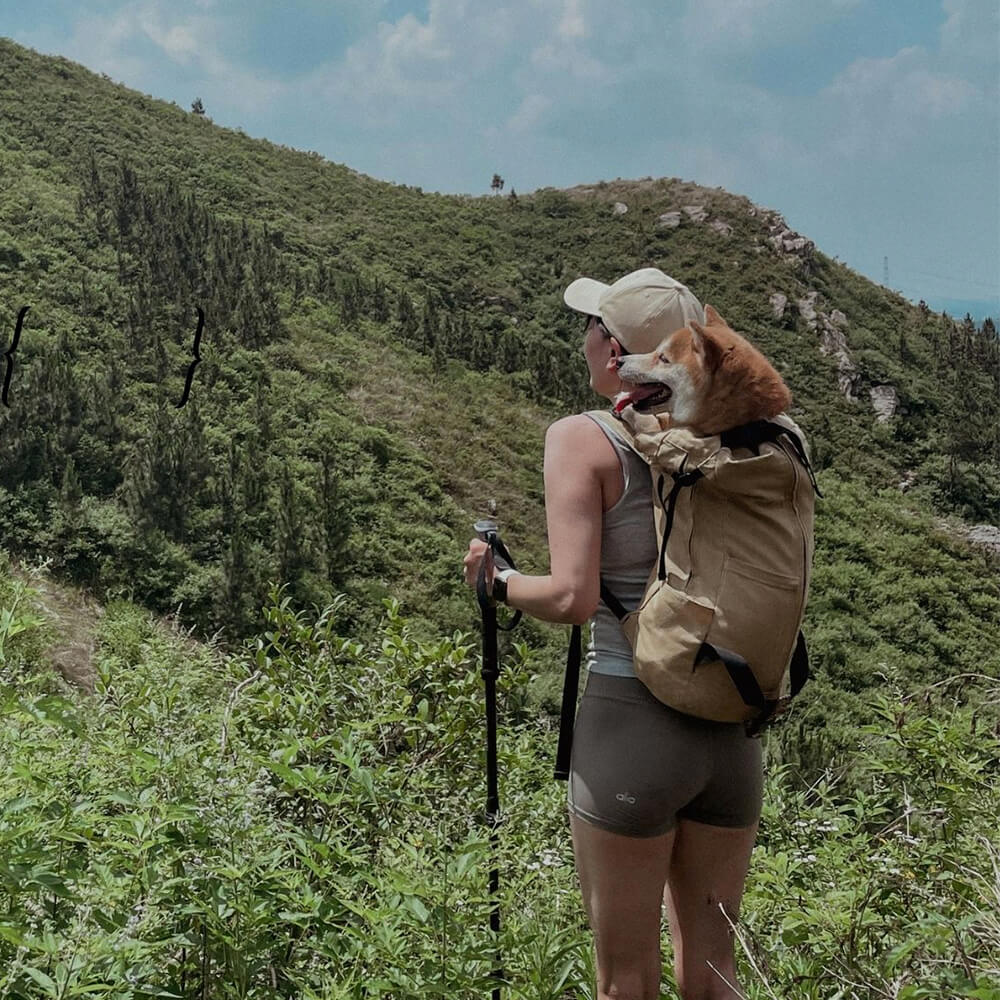 Ventilated and Durable Outdoor Hiking Dog Carrier Bag