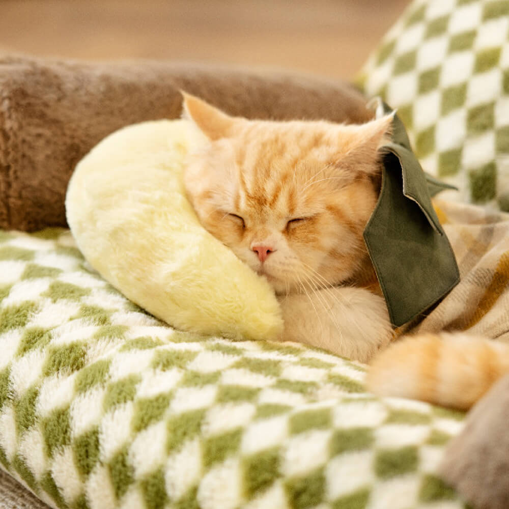Oreiller confortable et mignon pour animaux de compagnie