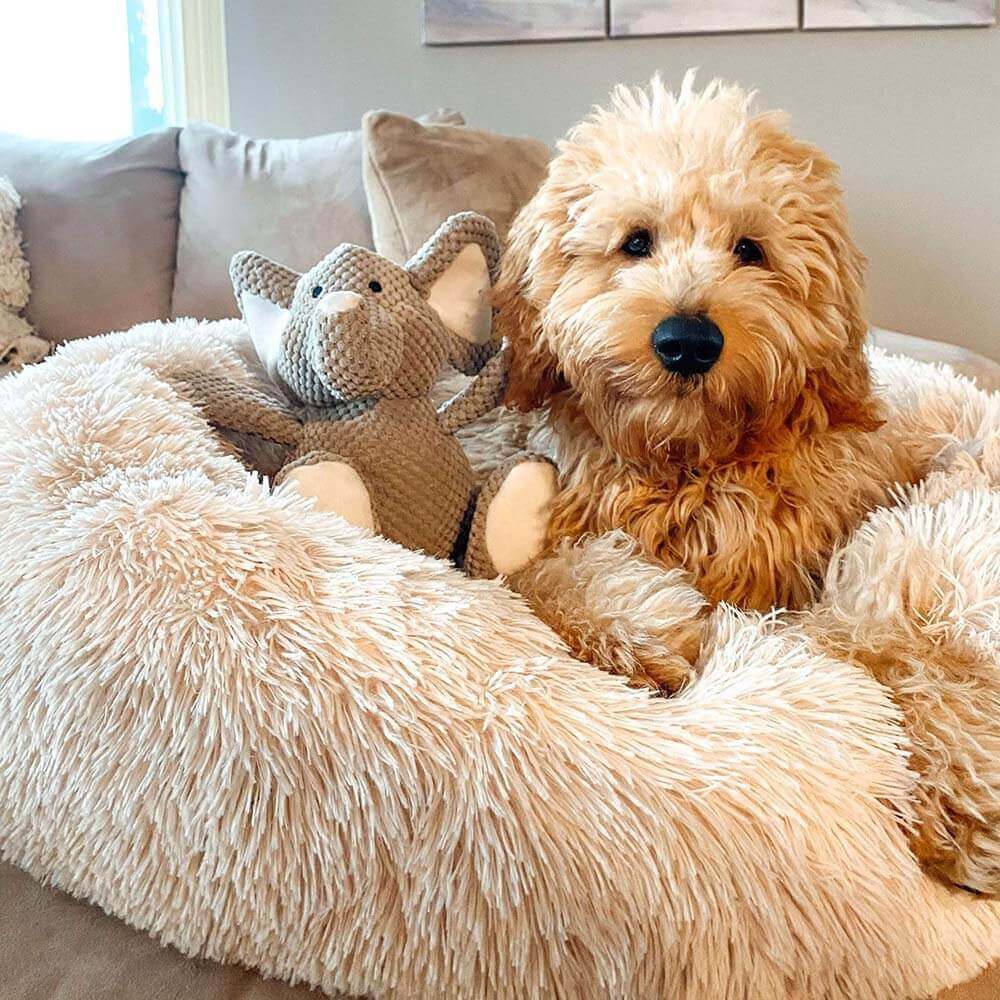 Fuzzy Round Fluffy Dog Bed