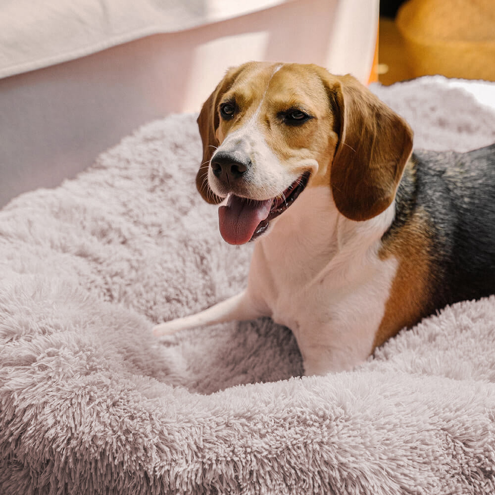 Fuzzy Round Fluffy Dog Bed