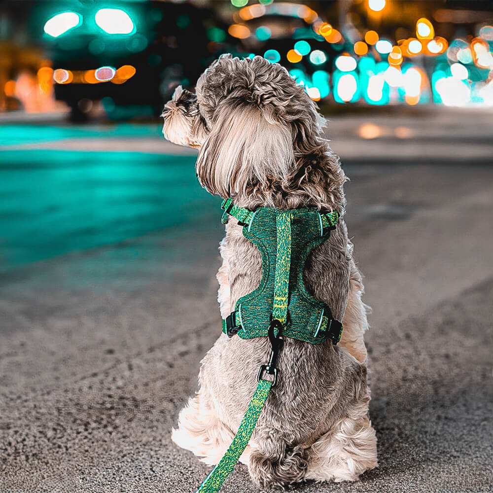 Eco-friendly Recycled Fabric No-Pull Dog Harness/Leash