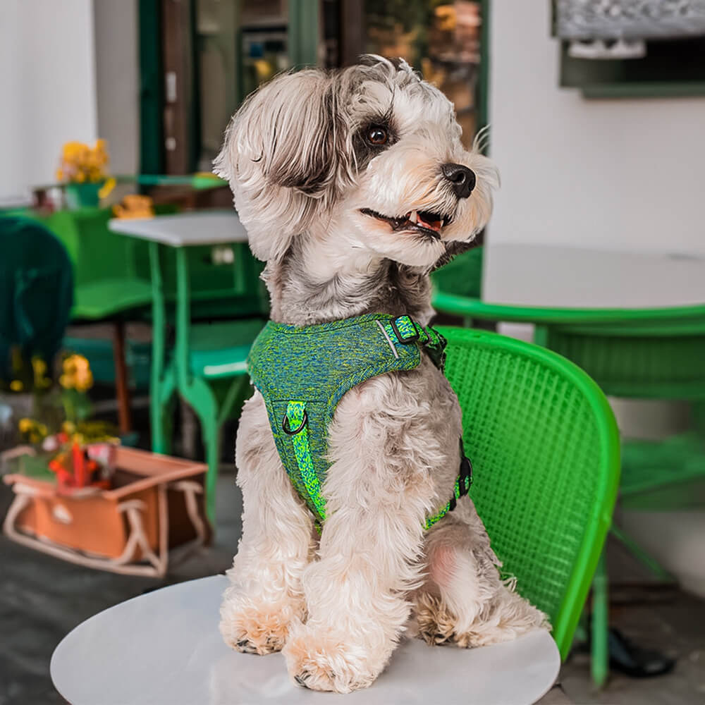 Eco-friendly Recycled Fabric No-Pull Dog Harness/Leash