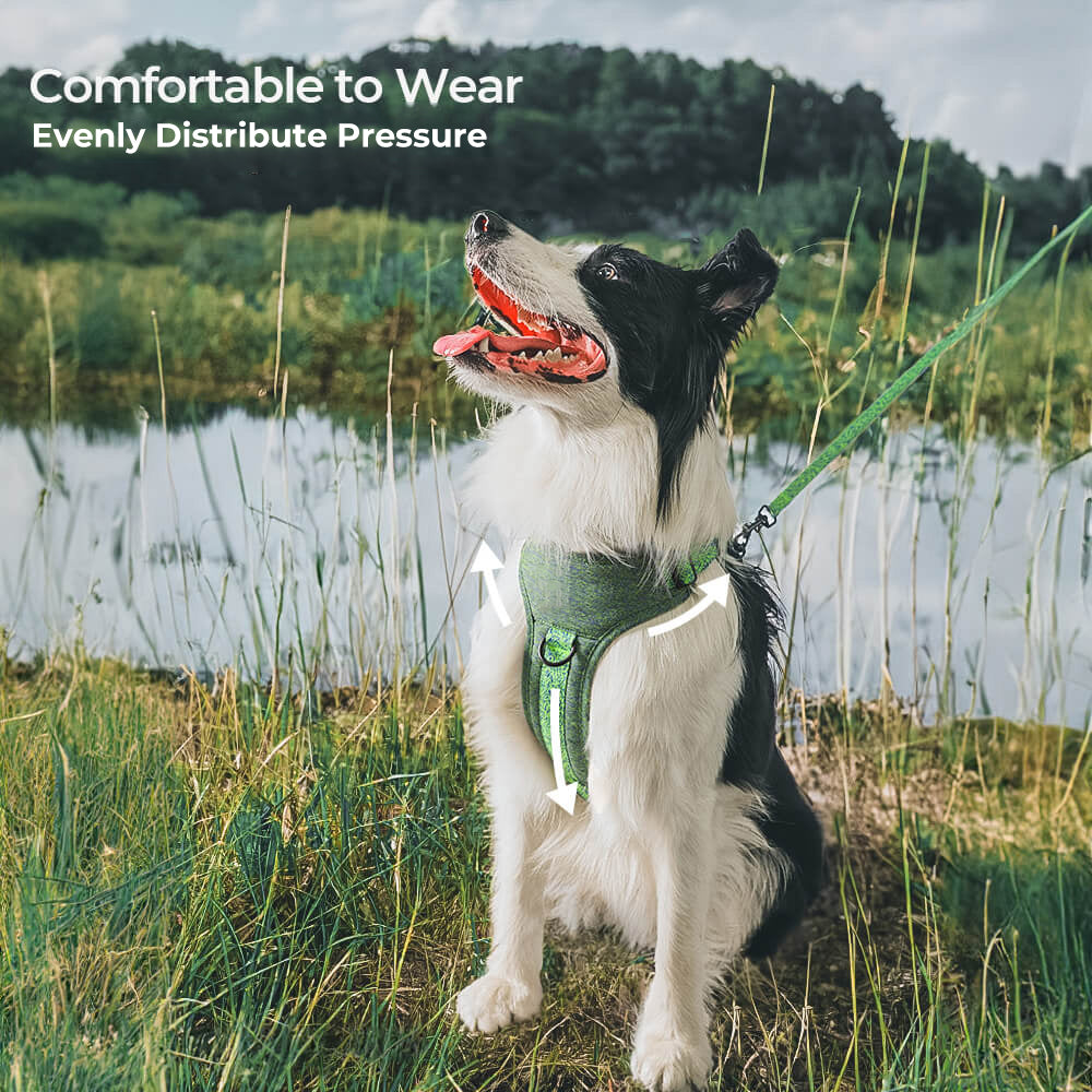 Eco-friendly Recycled Fabric No-Pull Dog Harness/Leash