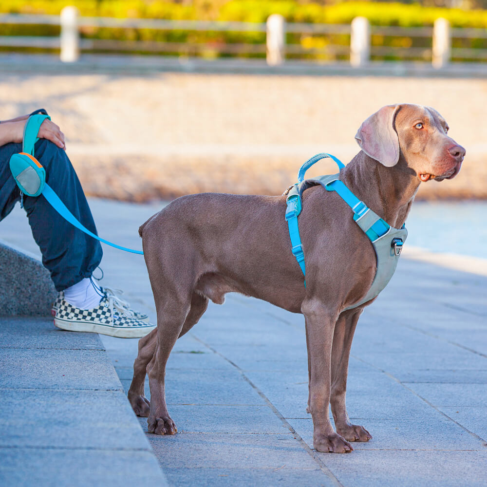 Multifunctional No-Pull Comfort Large Dogs Harness and Leash Walking Kit