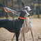 Collier et laisse pour chien anti-traction réfléchissants multifonctionnels
