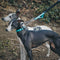 Collier et laisse pour chien anti-traction réfléchissants multifonctionnels