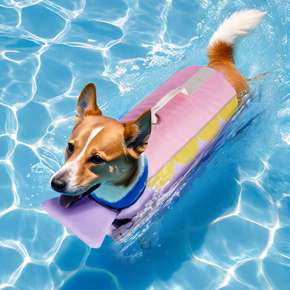Vibrant and Safe Dog Swim Life Jacket