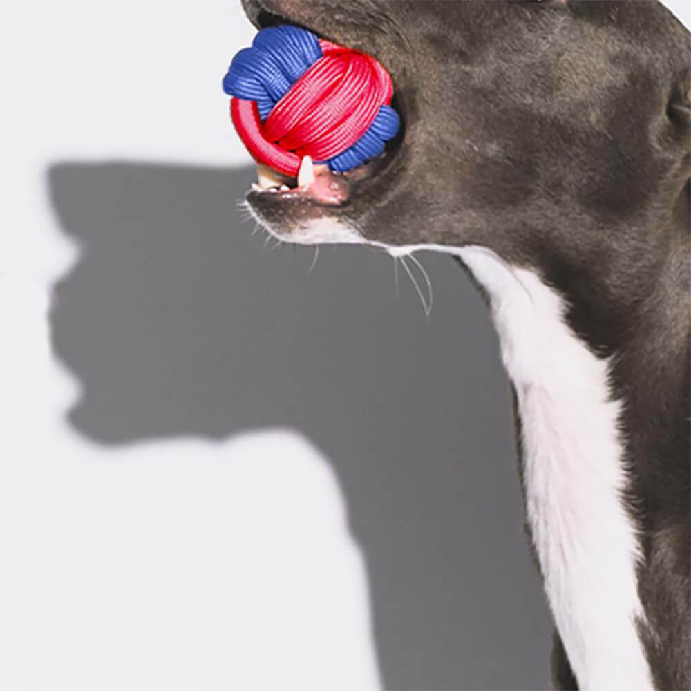 Knots Rope Dog Toy Set - Color Clash - FUNNYFUZZY