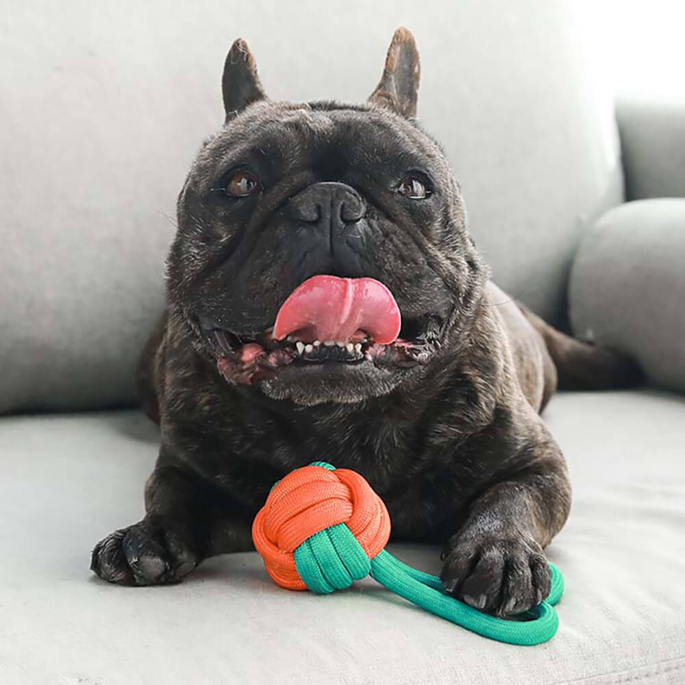 Knots Rope Dog Toy Set - Color Clash - FUNNYFUZZY